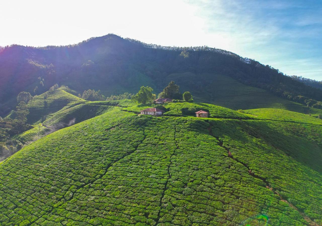 Arivikad Tea Bungalow Munnar By Voye Homes Suryanelli 외부 사진