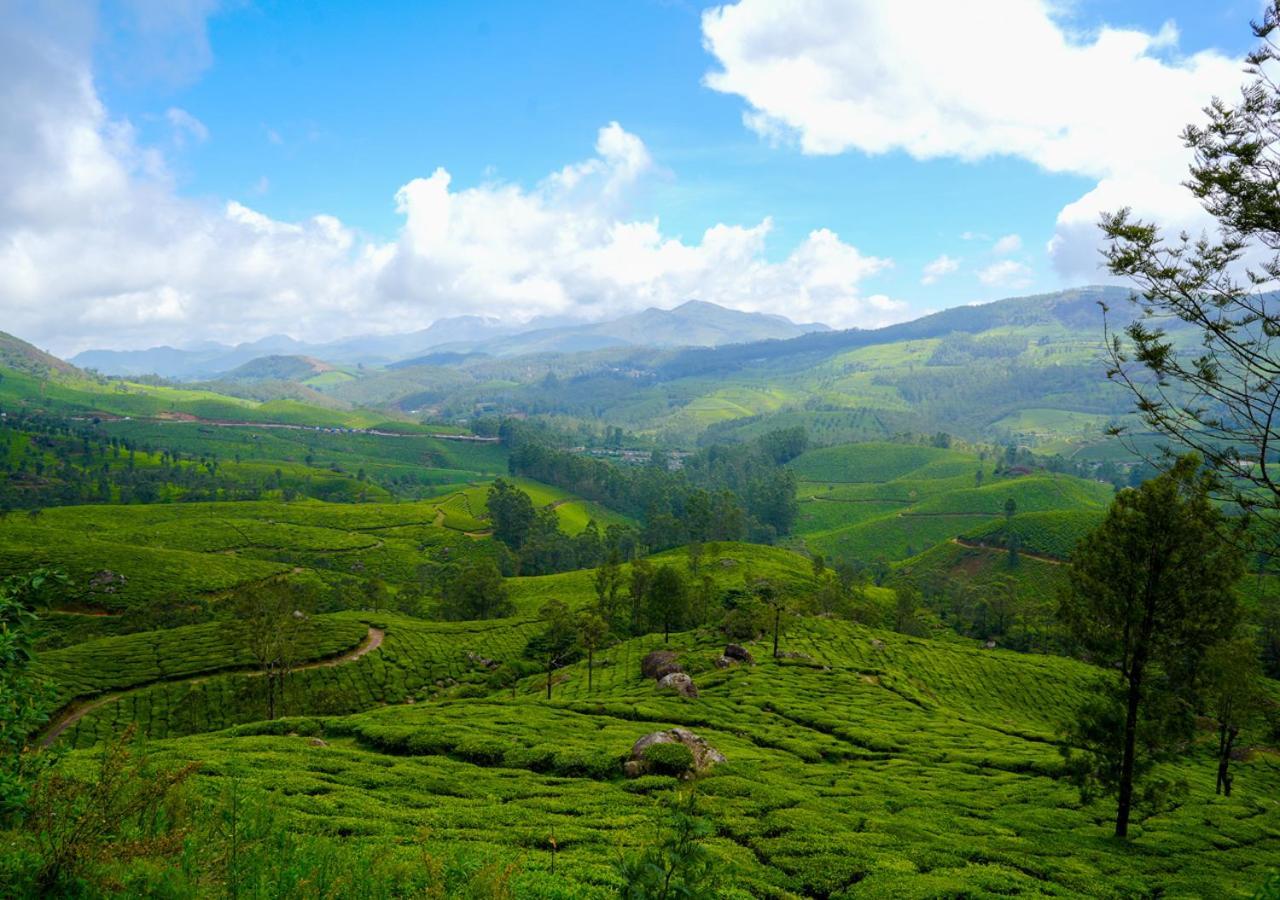 Arivikad Tea Bungalow Munnar By Voye Homes Suryanelli 외부 사진