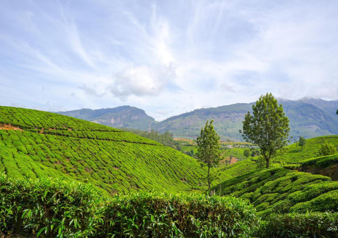 Arivikad Tea Bungalow Munnar By Voye Homes Suryanelli 외부 사진